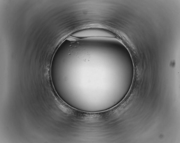 X0000099521225200805291204