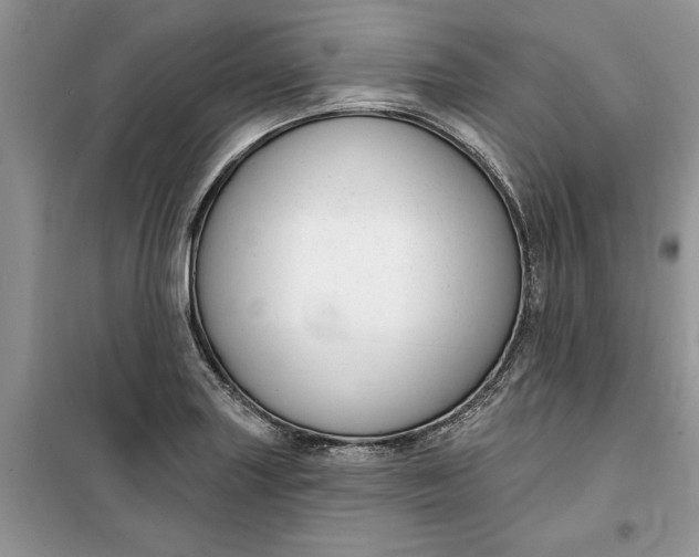 X0000099521227200805291204