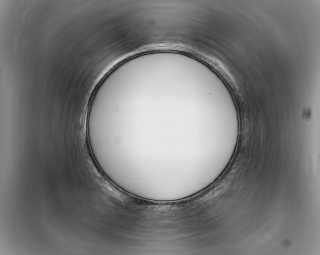 X0000099521228200805291204