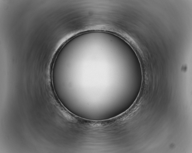 X0000099521230200805291204