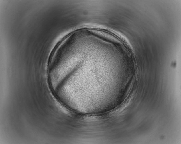 X0000099521231200805291204