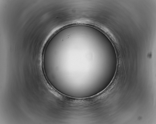 X0000099521232200805291204