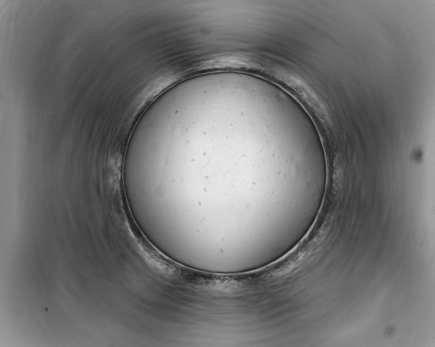 X0000099521233200805291204