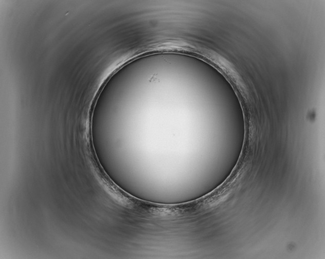 X0000099521234200805291204