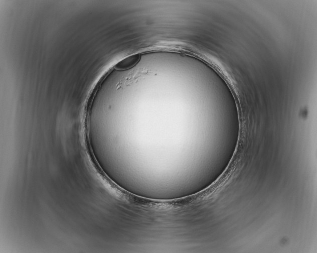 X0000099521235200805291204