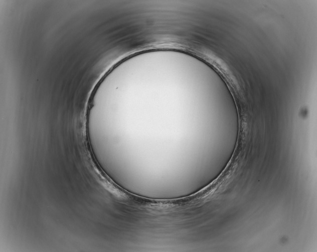 X0000099521236200805291204