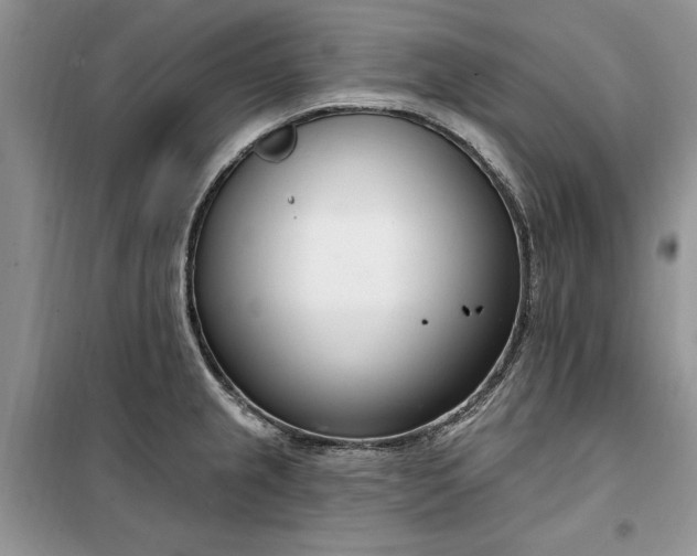 X0000099521237200805291204