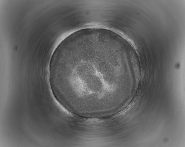 X0000099521239200805291204