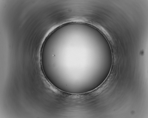 X0000099521240200805291204