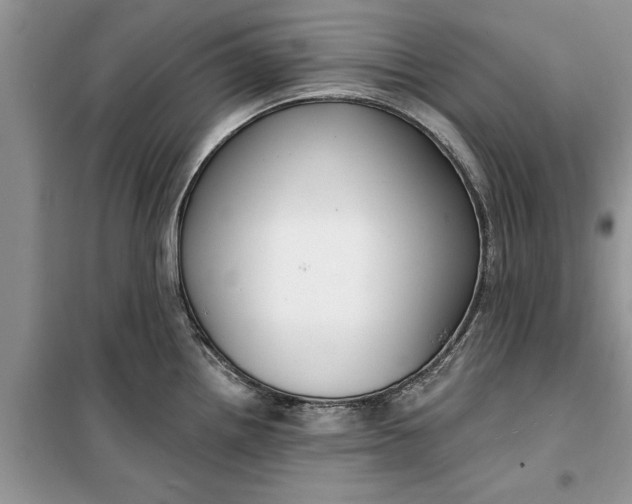 X0000099521242200805291204