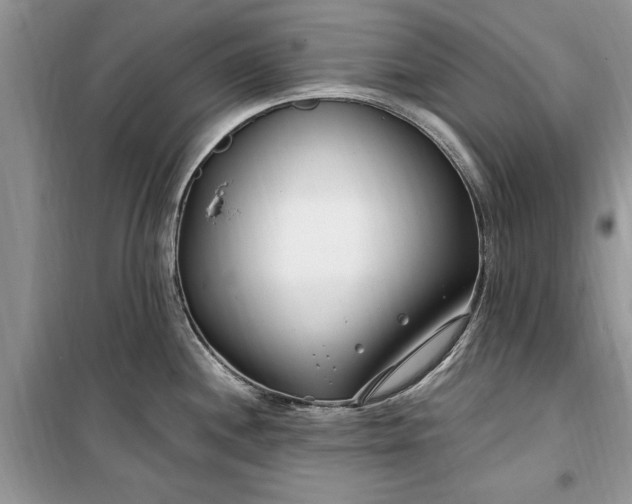 X0000099521244200805291204