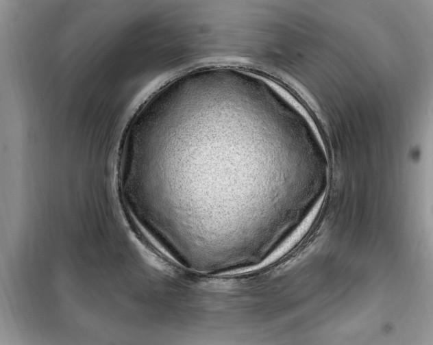 X0000099521245200805291204