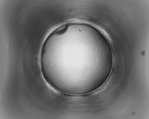 X0000099521247200805291204