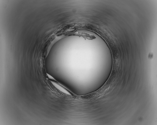 X0000099521250200805291204