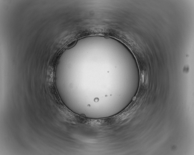 X0000099521251200805291204