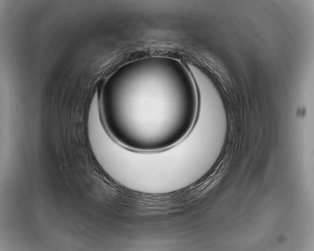 X0000099521252200805291204