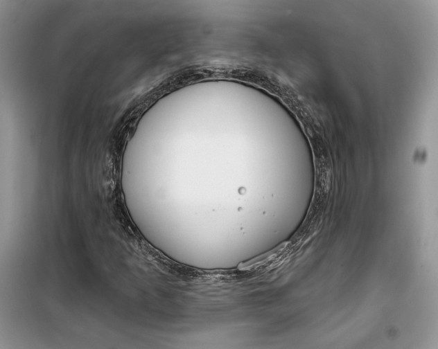 X0000099521253200805291204