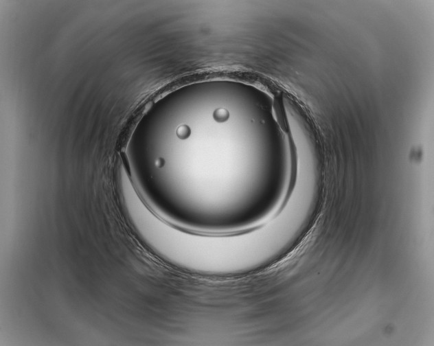 X0000099521257200805291204