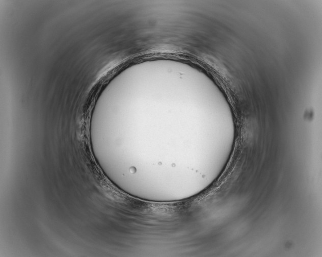 X0000099521258200805291204