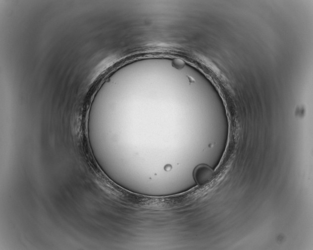 X0000099521259200805291204