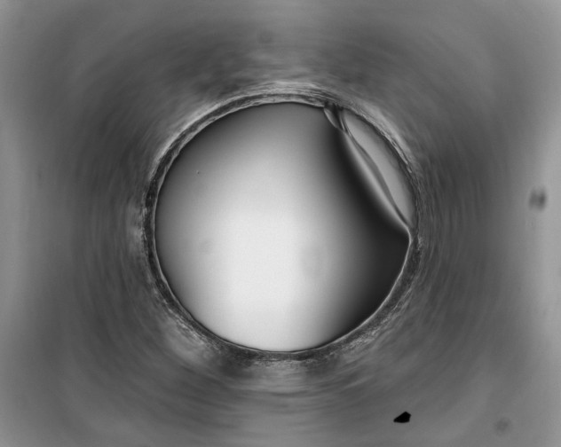 X0000099521260200805291204