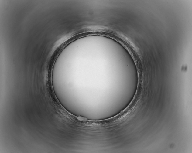 X0000099521261200805291204