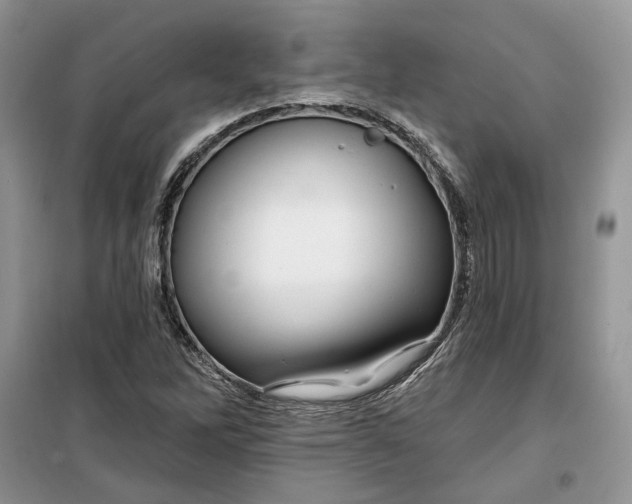 X0000099521262200805291204