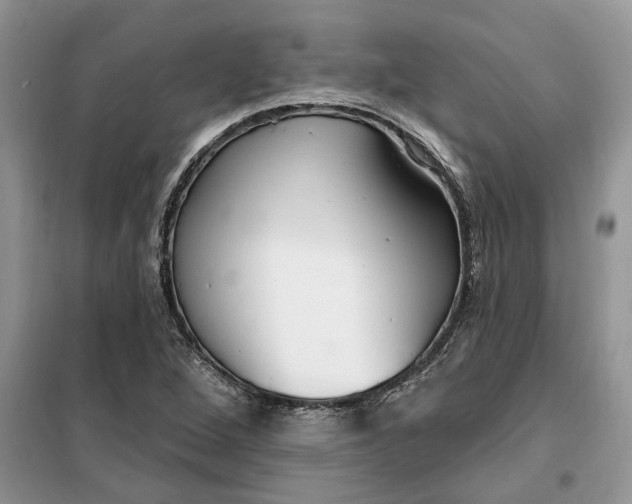 X0000099521264200805291204