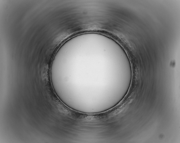 X0000099521265200805291203