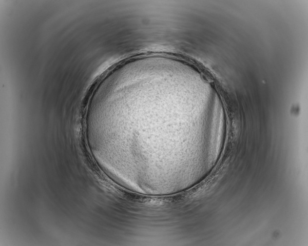 X0000099521266200805291203