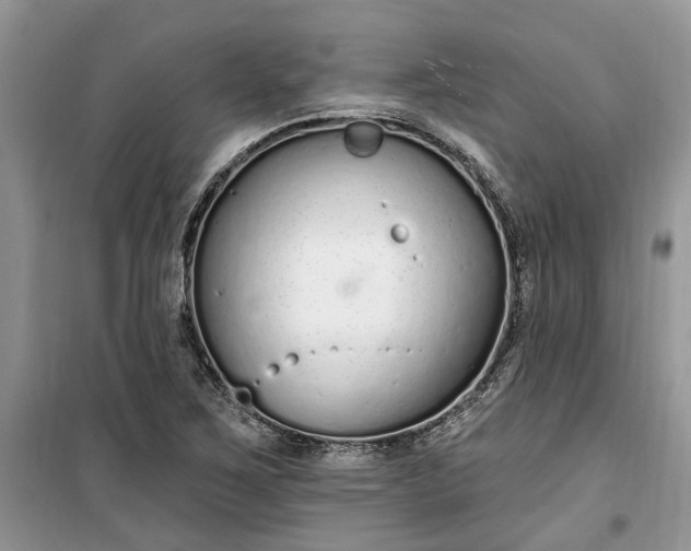 X0000099521267200805291203