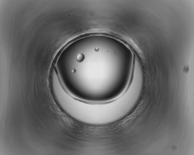 X0000099521268200805291203