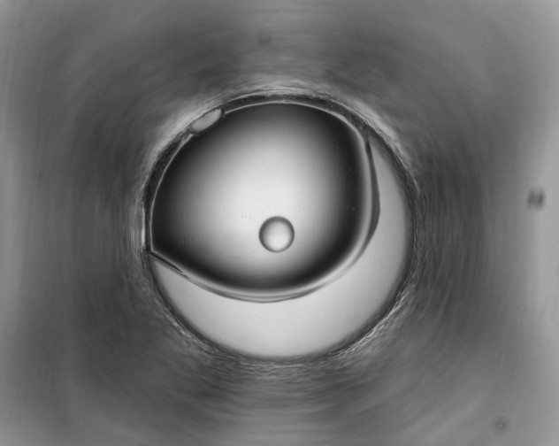 X0000099521269200805291203