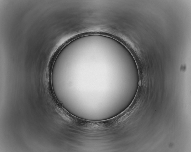 X0000099521270200805291203