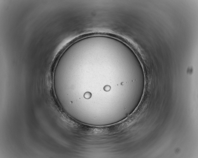 X0000099521271200805291203