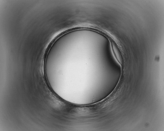 X0000099521272200805291203