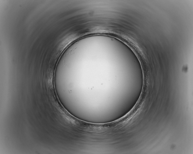 X0000099521273200805291203