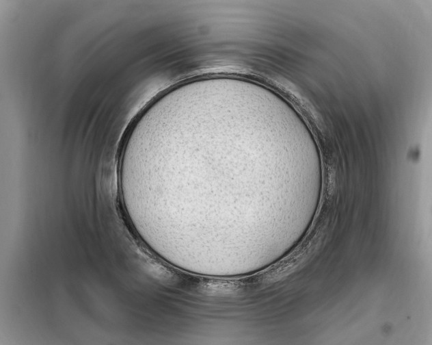 X0000099521274200805291203