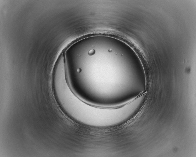 X0000099521275200805291203