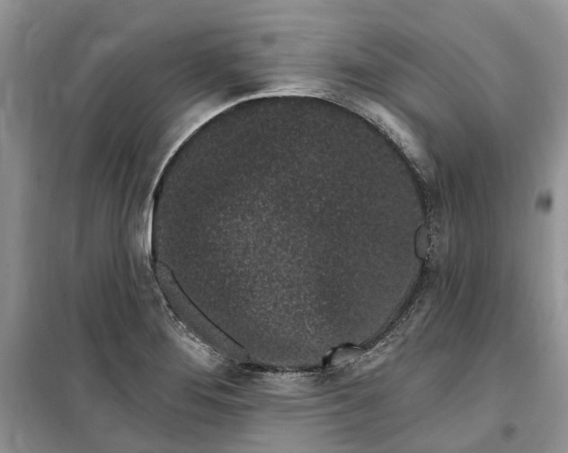 X0000099521276200805291203