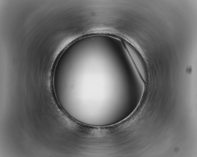 X0000099521277200805291203