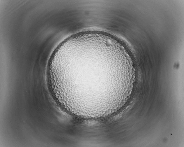 X0000099521278200805291203