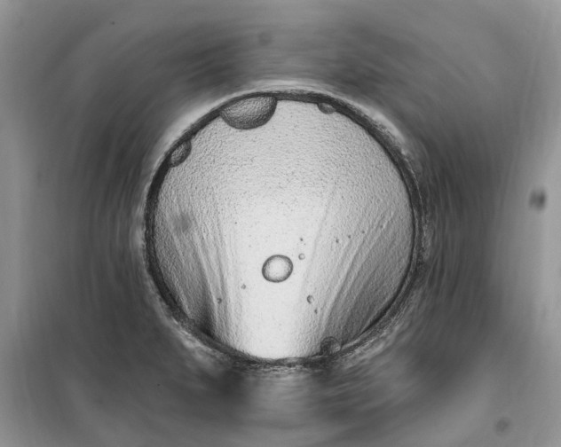 X0000099521279200805291203