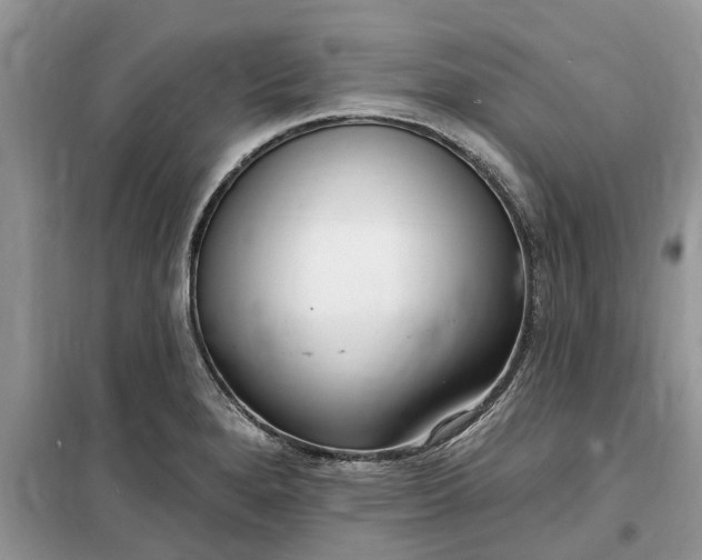 X0000099521280200805291203