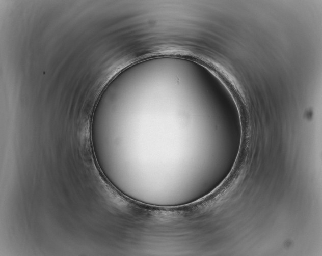 X0000099521281200805291203