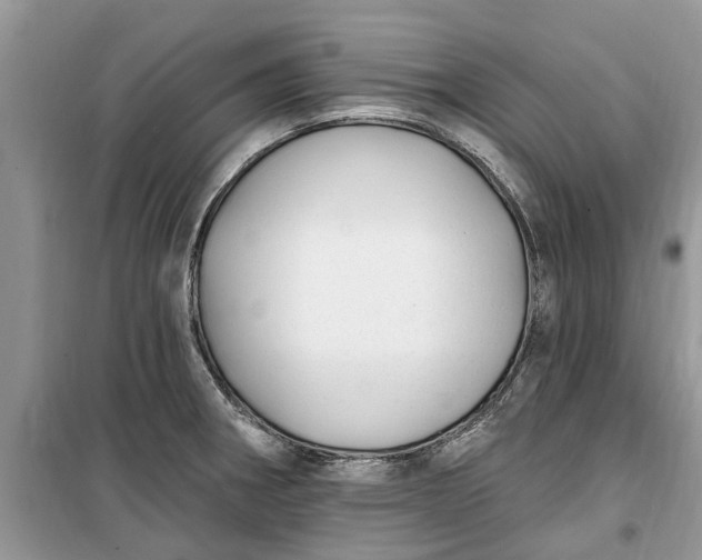 X0000099521282200805291203