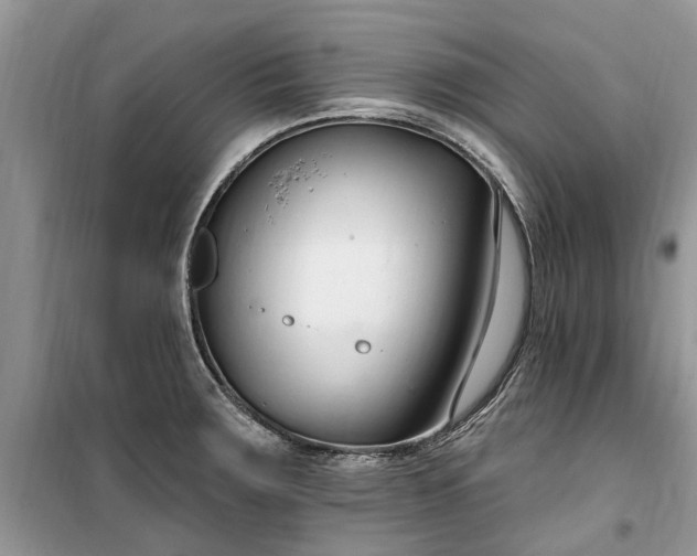 X0000099521283200805291203