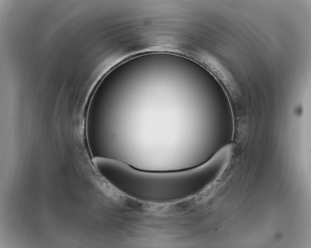 X0000099521284200805291203