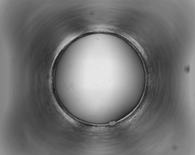 X0000099521285200805291203