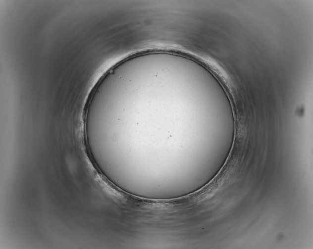 X0000099521287200805291203